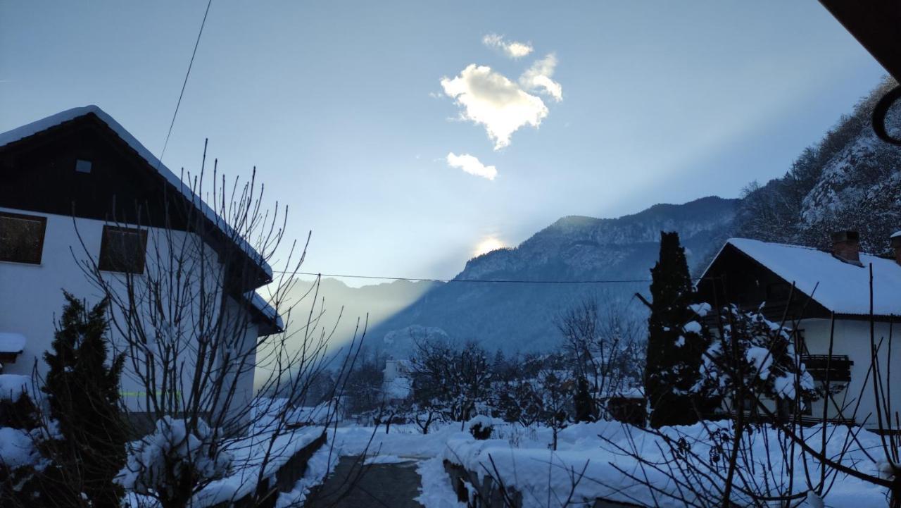 Alp House Bohinjska Bela Exterior foto